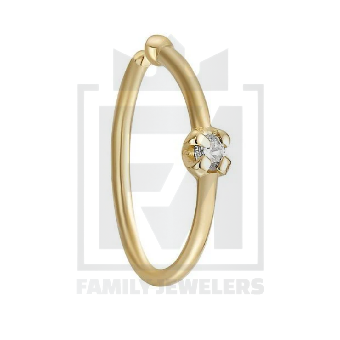 Stainless Steel Nose Ring